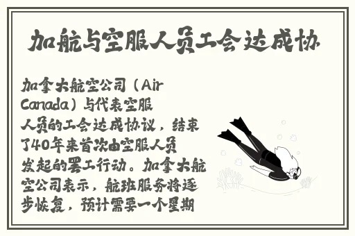 我回来了苏畅